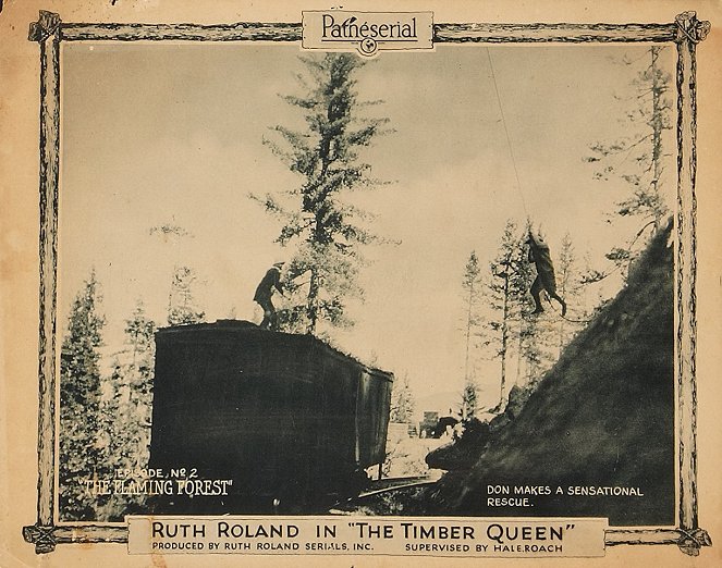The Timber Queen - Lobbykarten