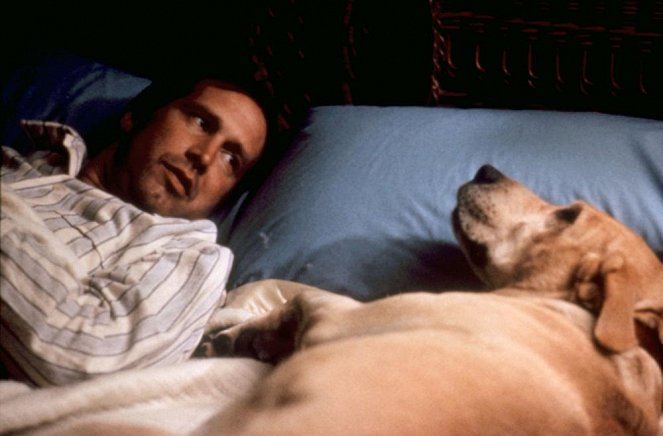 Oh, Heavenly Dog! - Photos - Chevy Chase