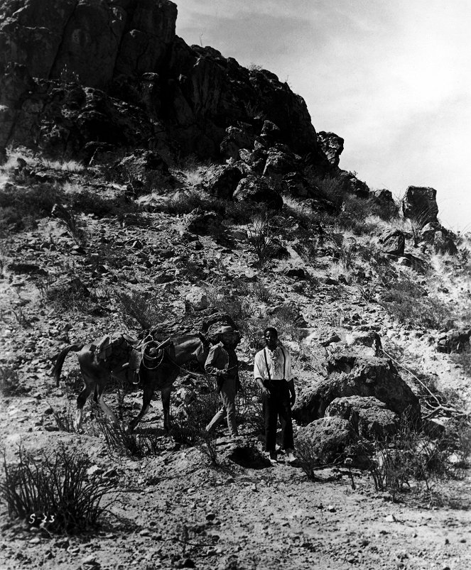 Mit eisernen Fäusten - Filmfotos - Burt Lancaster, Ossie Davis