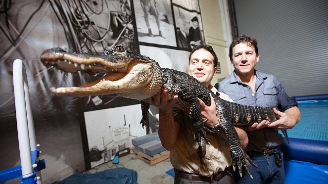 Bigger Than T. Rex - Kuvat elokuvasta