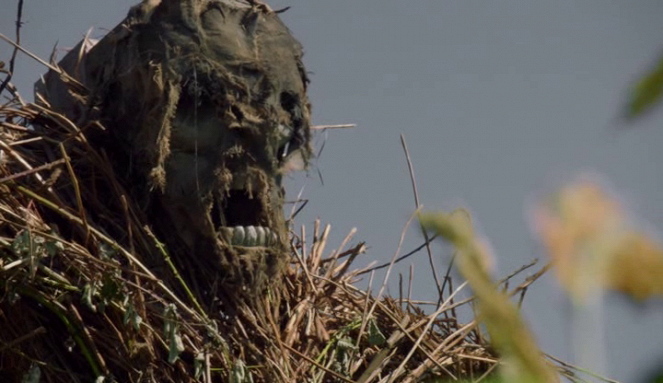Scarecrow - De la película