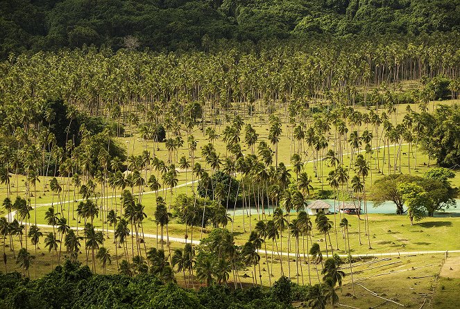 Útěk na Vanuatu - Photos