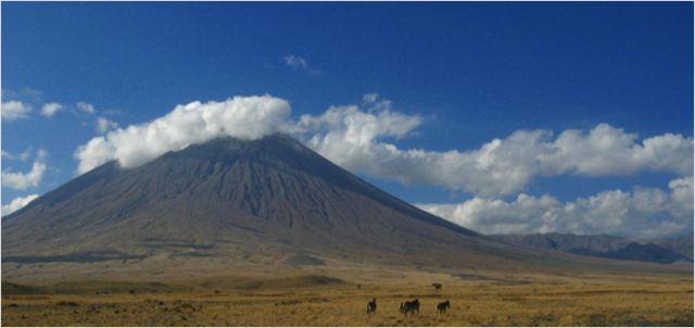 Serengeti - De la película