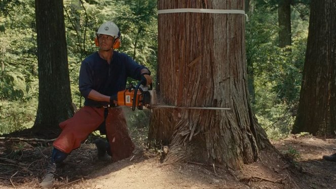 Wood Job! - Film - Hideaki Itō