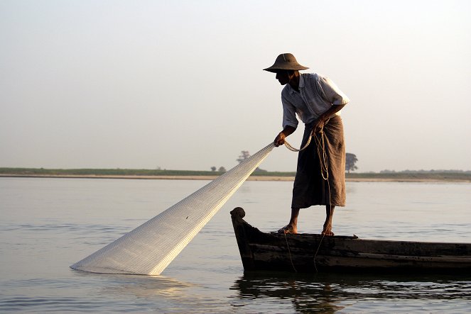 Flußdelphine im Irrawaddy - Filmfotos