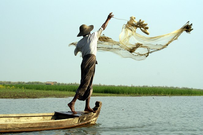 Flußdelphine im Irrawaddy - Filmfotos