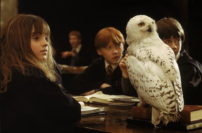 Harry Potter a Kámen mudrců - Z filmu - Emma Watson, Rupert Grint, Daniel Radcliffe