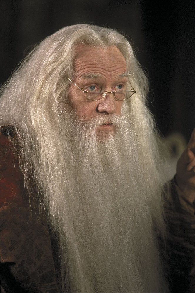 Harry Potter ja viisasten kivi - Kuvat elokuvasta - Richard Harris