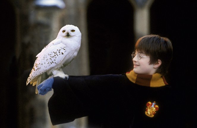 Harry Potter ja viisasten kivi - Kuvat elokuvasta - Daniel Radcliffe