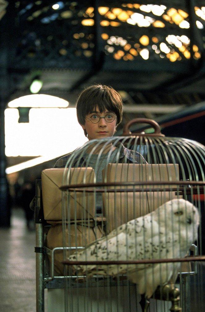 Harry Potter e a Pedra Filosofal - Do filme - Daniel Radcliffe