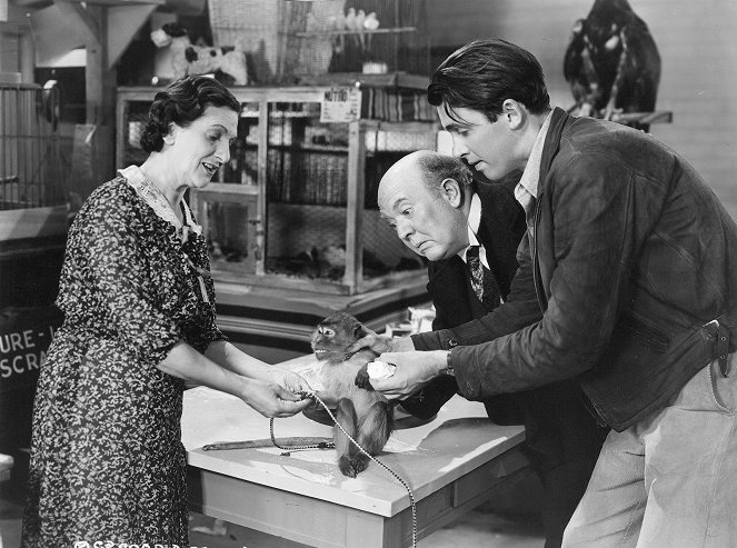 Mr. Smith Goes to Washington - Van film - Beulah Bondi, Guy Kibbee, James Stewart