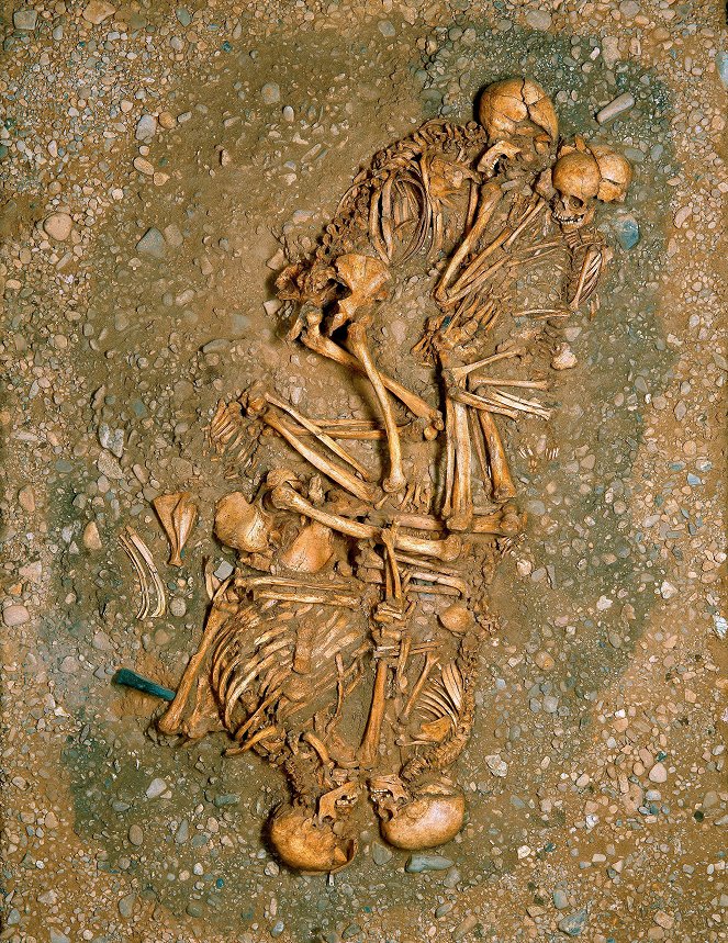 Crime Scene Eulau – Mystery of the 13 Skeletons - Photos