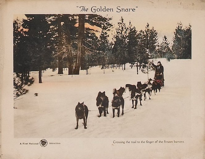 The Golden Snare - Lobbykaarten
