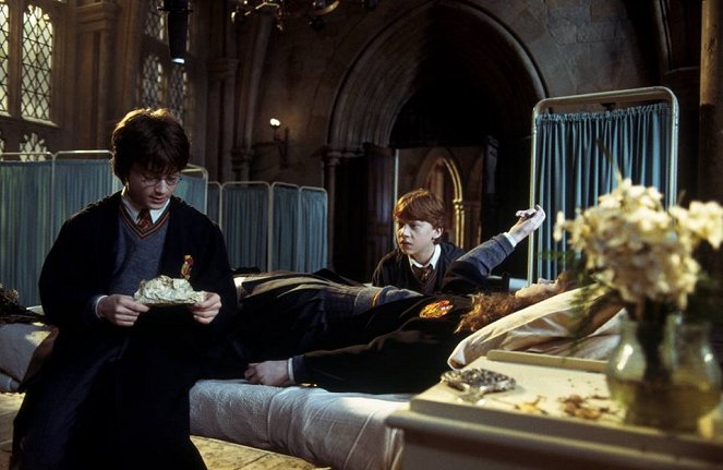 Harry Potter i Komnata Tajemnic - Z filmu - Daniel Radcliffe, Rupert Grint