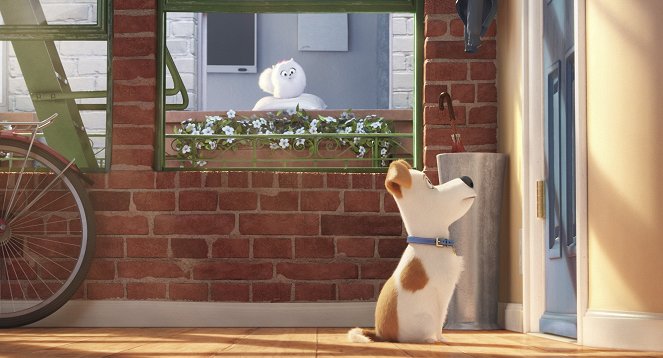Mascotas - De la película