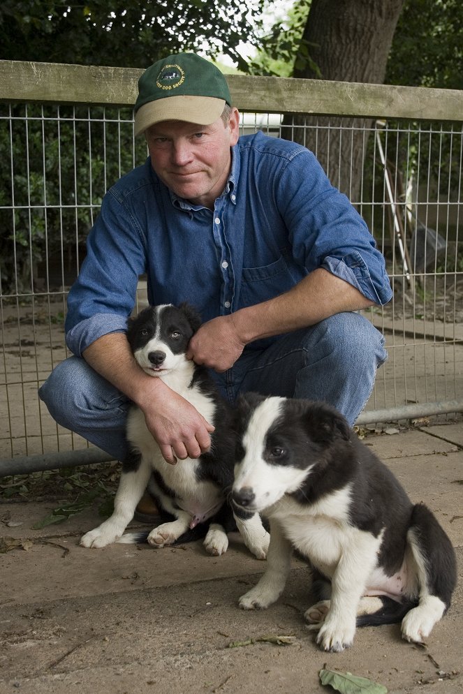 Best Sheepdogs from Wales - Photos