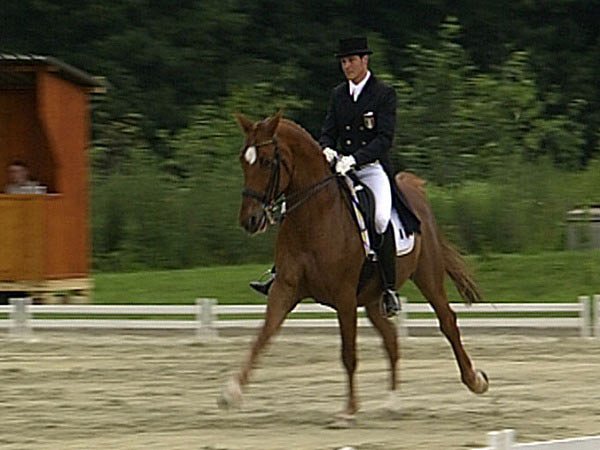 Koně v Brně 2005 - Filmfotos