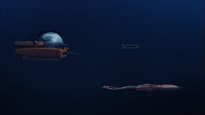 Legends of the Deep: The Giant Squid - De la película