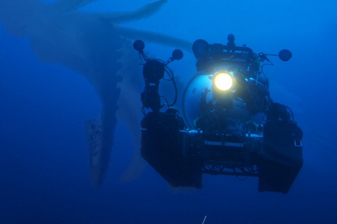 Legends of the Deep: The Giant Squid - De la película