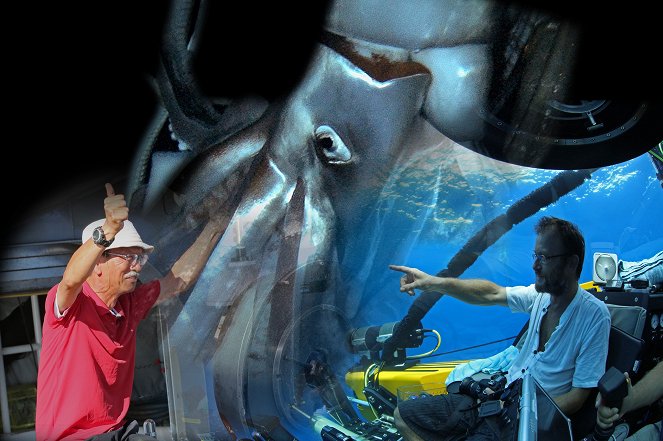 Legends of the Deep: The Giant Squid - Filmfotók