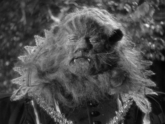 A szép és a szörnyeteg - Filmfotók - Jean Marais