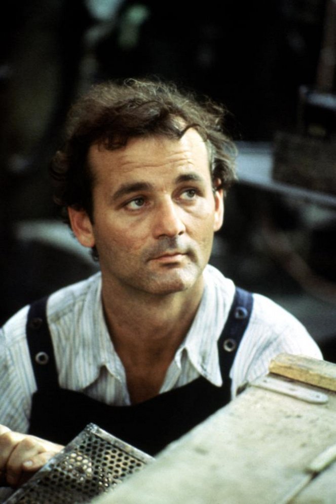 El filo de la navaja - De la película - Bill Murray