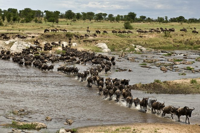 Nomads of the Serengeti - Do filme