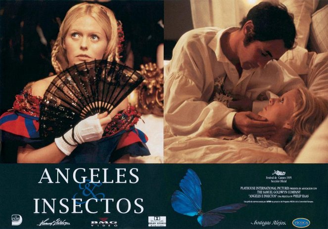 Angels & Insects - Lobbykaarten