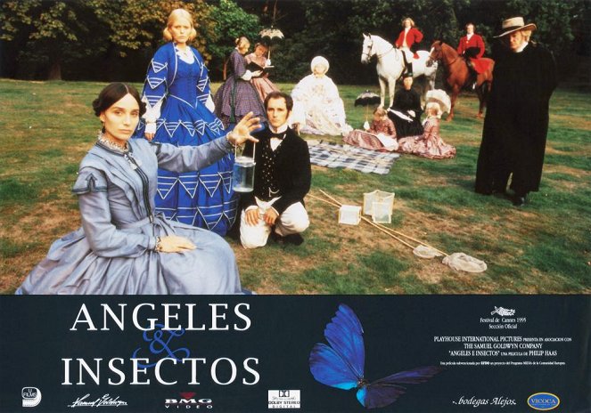 Angels & Insects - Cartões lobby