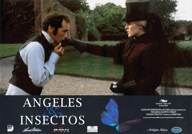 Angels & Insects - Lobby Cards