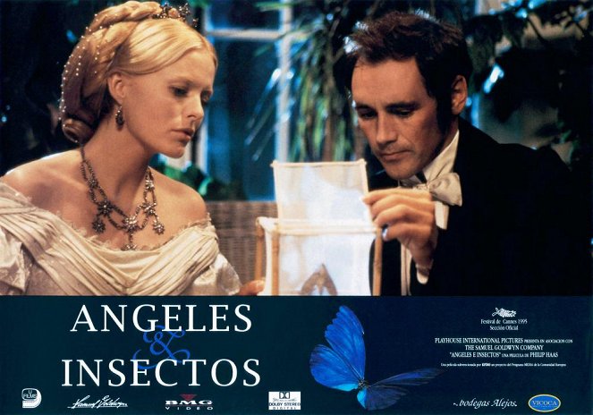Angels & Insects - Lobbykaarten