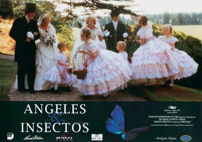 Des anges et des insectes - Cartes de lobby