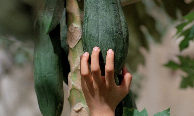 El olor de la papaya verde - De la película