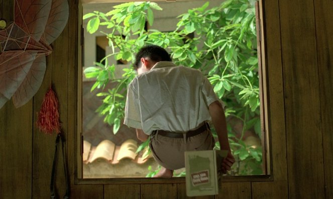 El olor de la papaya verde - De la película