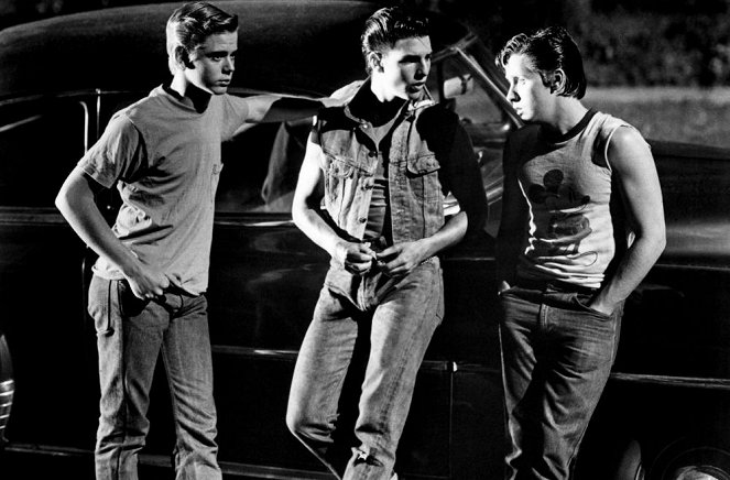 The Outsiders - Van film - C. Thomas Howell, Tom Cruise, Emilio Estevez