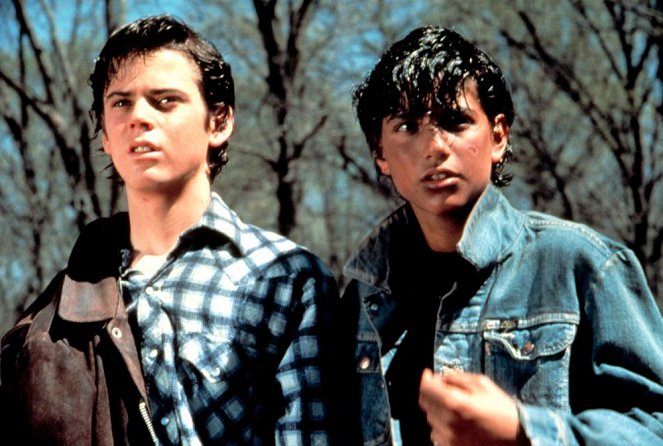 The Outsiders: The Complete Novel - Filmfotos - C. Thomas Howell, Ralph Macchio