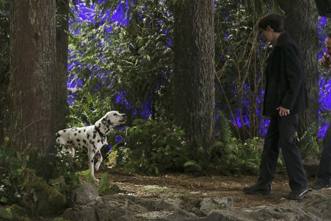 Once Upon a Time - Sympathy for the De Vil - Photos - Jared Gilmore