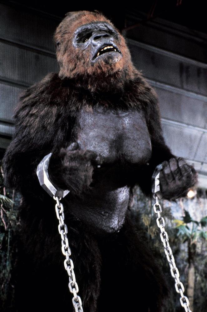 King Kong Lives - Van film