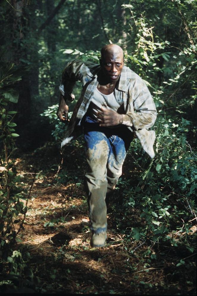 Auf der Jagd - Filmfotos - Wesley Snipes
