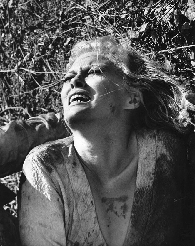 Bonnie und Clyde - Filmfotos - Faye Dunaway