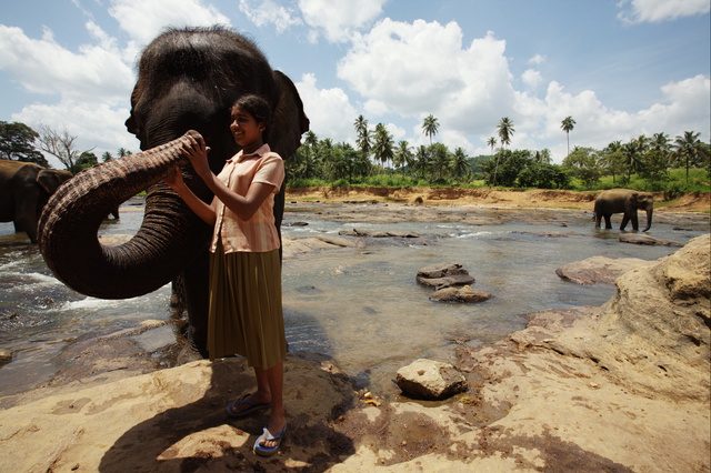 Chandani: The Daughter of the Elephant Whisperer - Kuvat elokuvasta