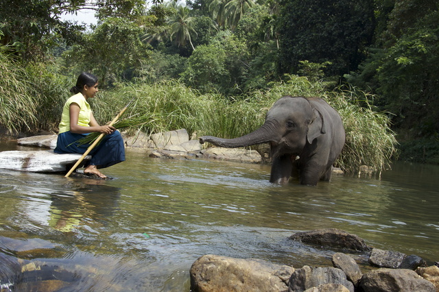 Chandani: The Daughter of the Elephant Whisperer - Filmfotos