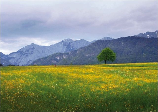 Am Anfang war das Licht - Kuvat elokuvasta