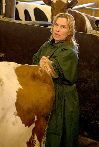 Lehmän vuosi - Kuvat elokuvasta - Sari Havas
