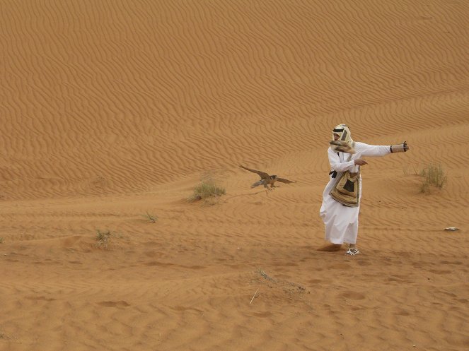 Die Falkenärztin von Abu Dhabi - Van film