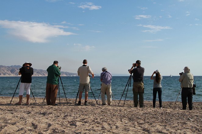 Das Geheimnis der Zugvögel - Große Rast am Roten Meer - Filmfotos