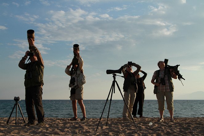 Das Geheimnis der Zugvögel - Große Rast am Roten Meer - Van film