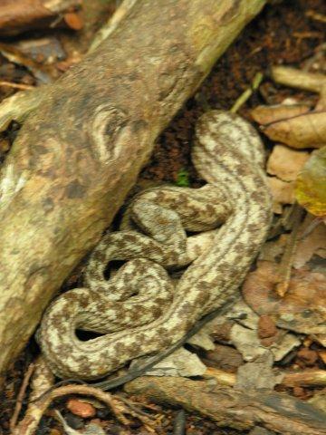 Natures Treasure Islands - Photos