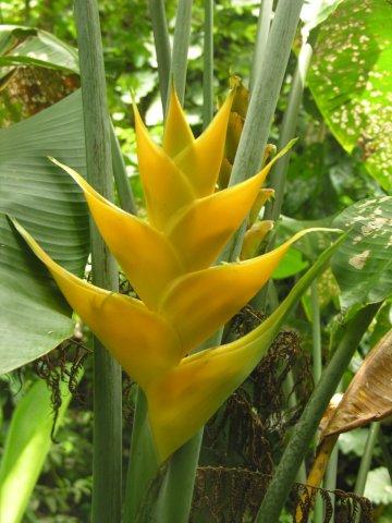 Natures Treasure Islands - Kuvat elokuvasta