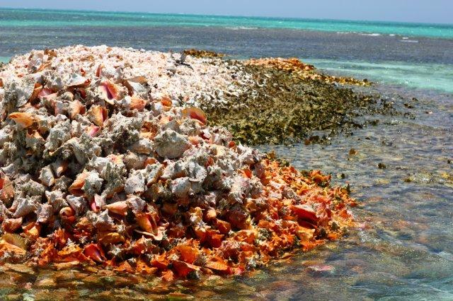 Natures Treasure Islands - De la película